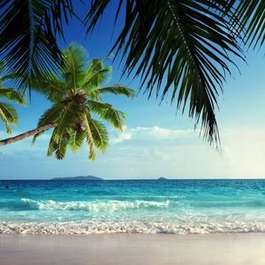 Meet your Posher, Lianne